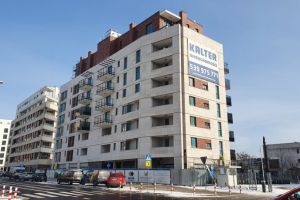 210131 DzB Modzelewskiego