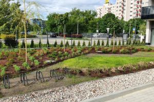 210531 DzB Modzelewskiego