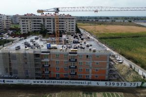 240819 DzB na Skraju